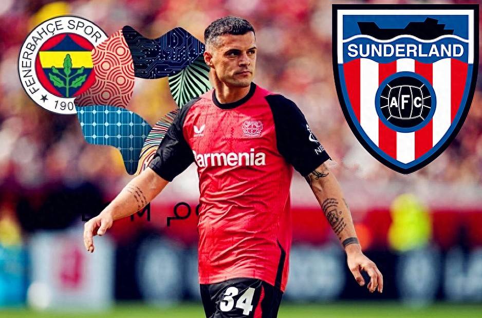 最贵老将，1700万签德甲冠军中场，英超升班马首年进欧战？